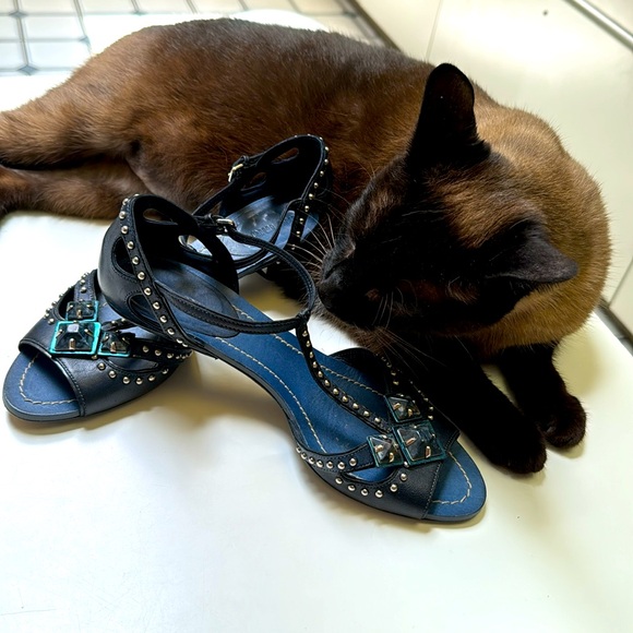 Miu Miu Italy Denim Blue Silver Studded Lapis Jewel Chrome Kitten heel Sandals - Picture 2 of 9